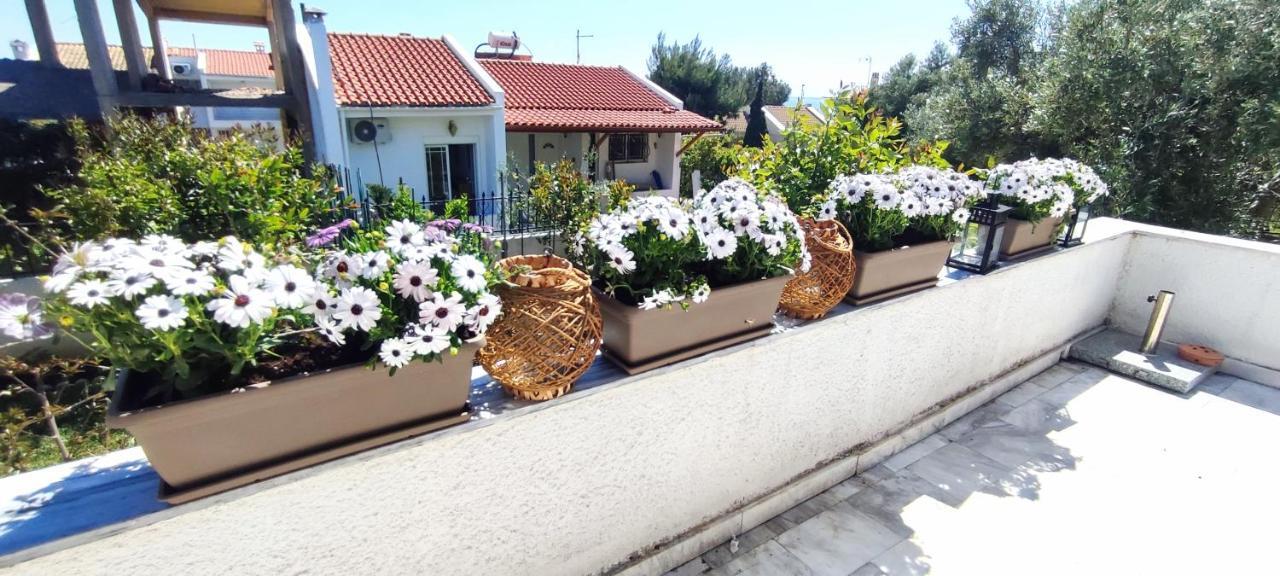 Villa Βianca In Sithonia เยราคินิ ภายนอก รูปภาพ