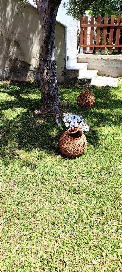 Villa Βianca In Sithonia เยราคินิ ภายนอก รูปภาพ